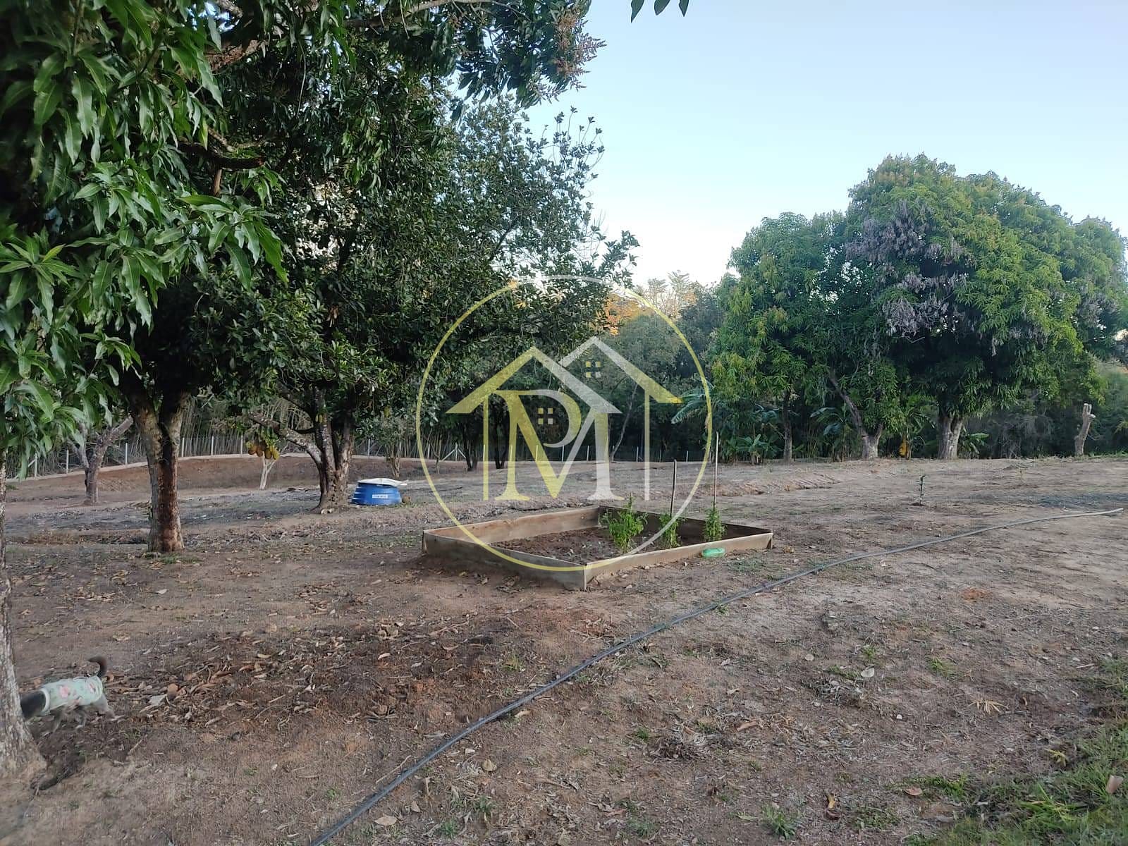 Chácara à venda com 7 quartos, 840m² - Foto 25