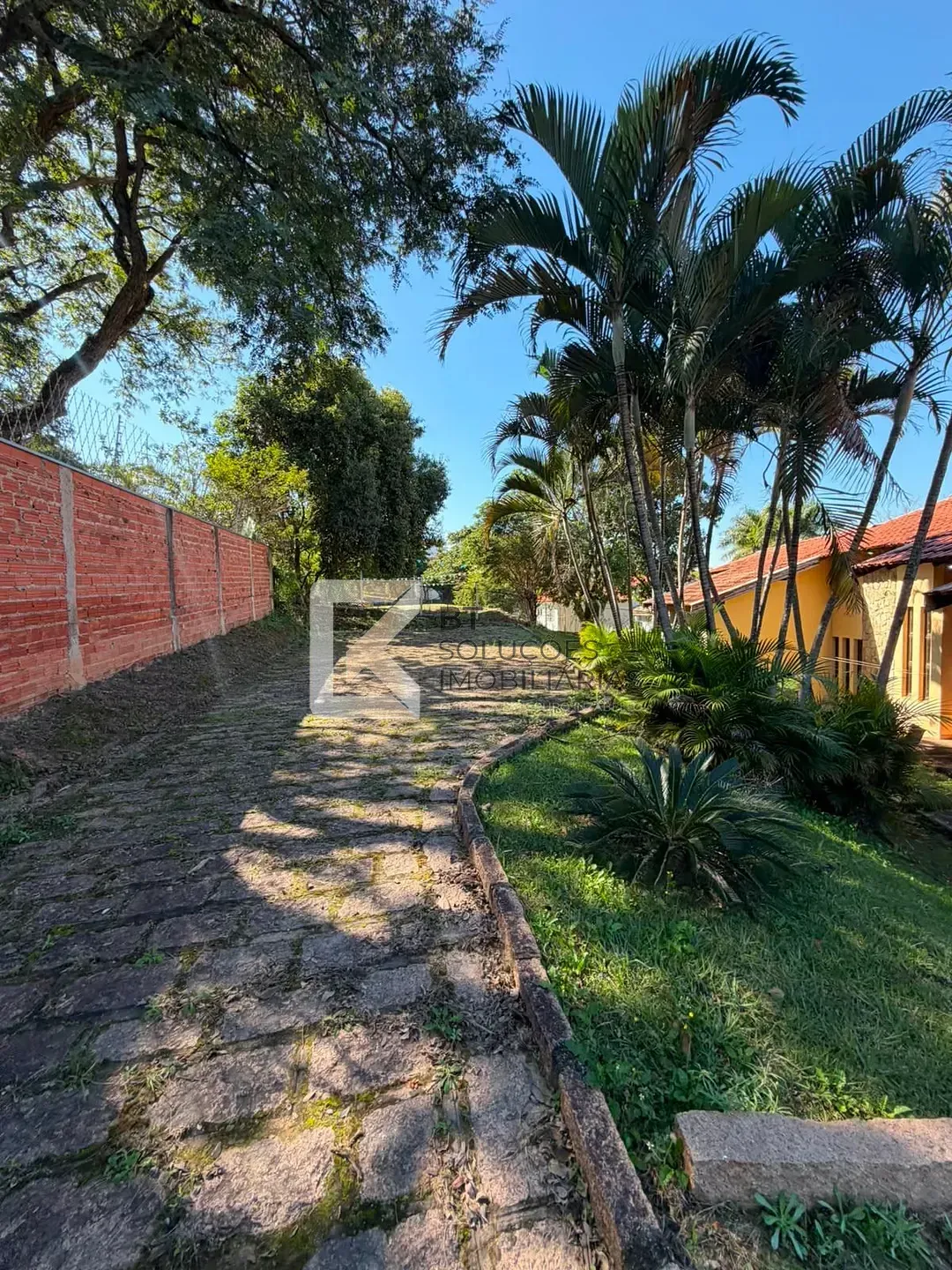 Chácara, 3 quartos, 3600 m² - Foto 41