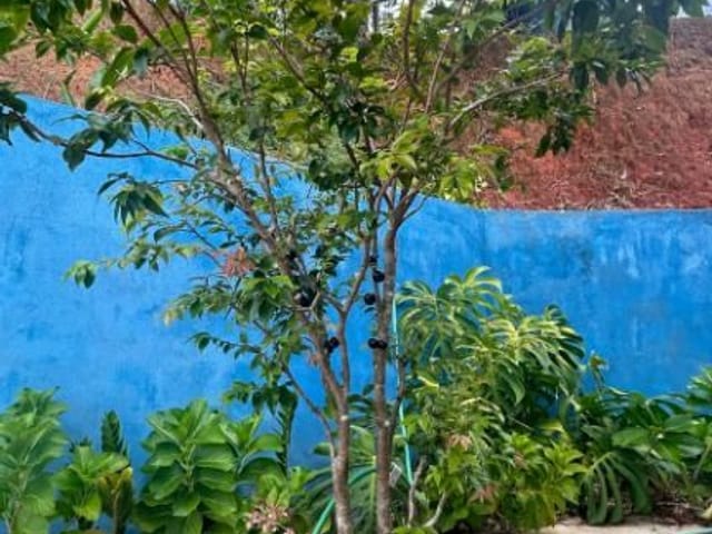 Foto do Chácara - Chácara com 2 dormitórios à venda, 1502 m² por R$ 910.000,00 - Altos da vila Paiva - São José dos Campos/SP | INDEPENDENCE NEGOCIOS IMOBILIARIOS LTDA