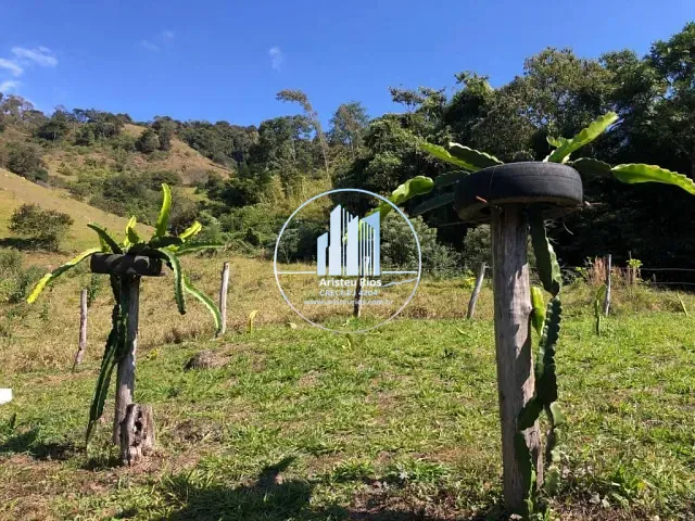 Chácara com 20600m² 3 quartos e 1 banheiro, à venda, no bairro Sertãozinho em Borda da Mata