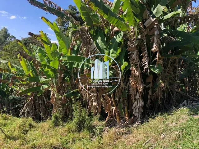 Chácara com 20600m² 3 quartos e 1 banheiro, à venda, no bairro Sertãozinho em Borda da Mata
