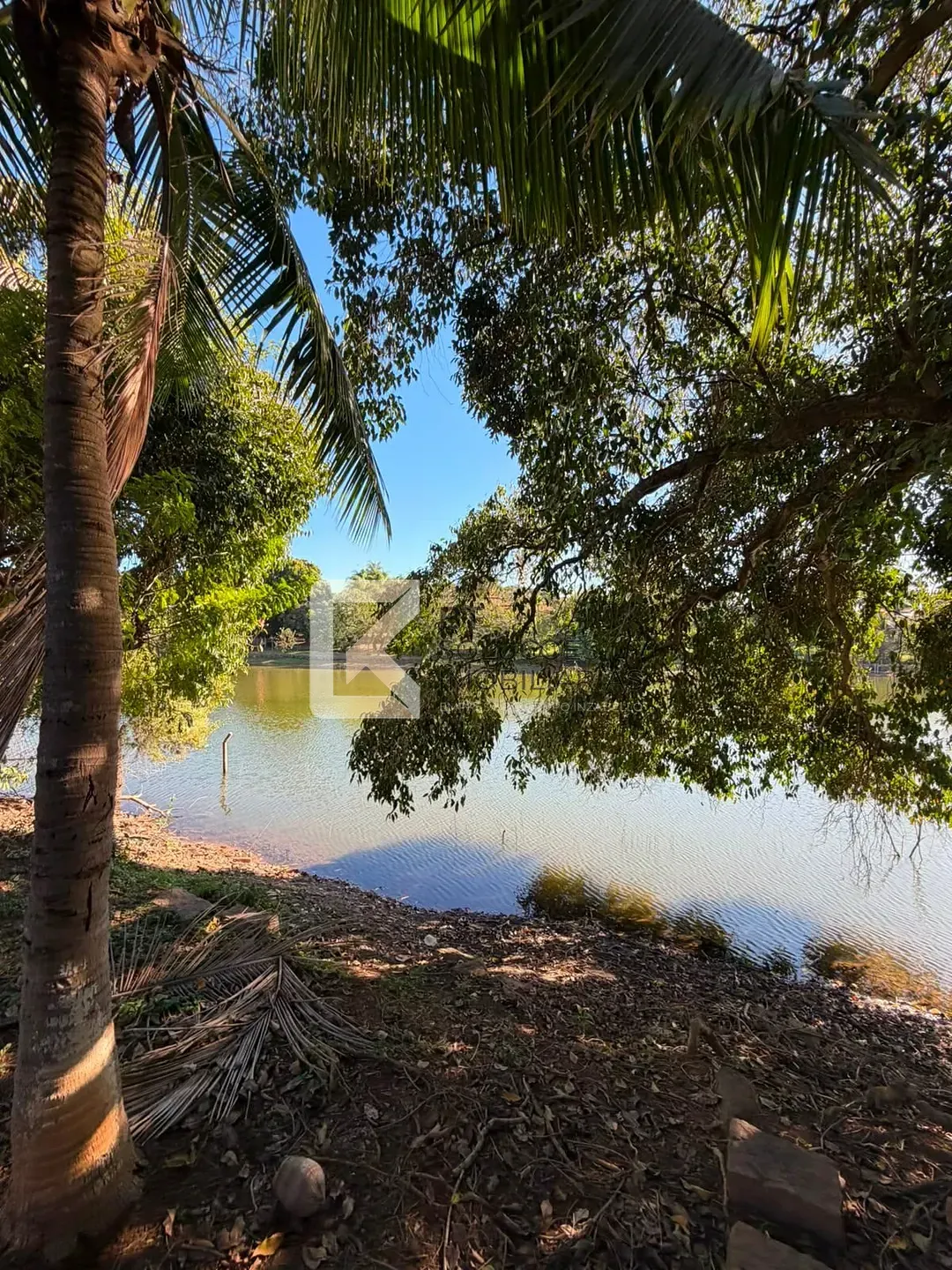 Chácara, 4 quartos, 2500 m² - Foto 5