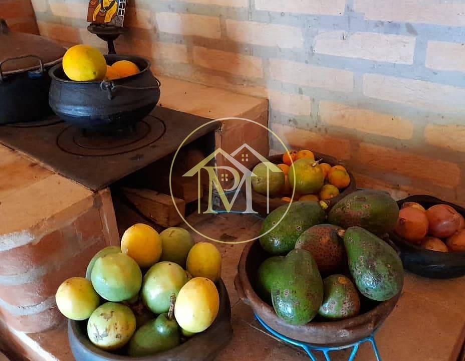 Sítio, 3 quartos, 3285 m² - Foto 26