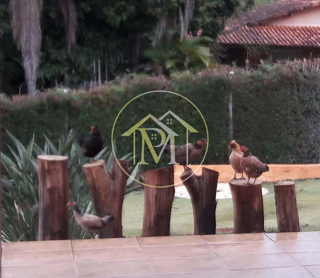 Sítio, 3 quartos, 3285 m² - Foto 18