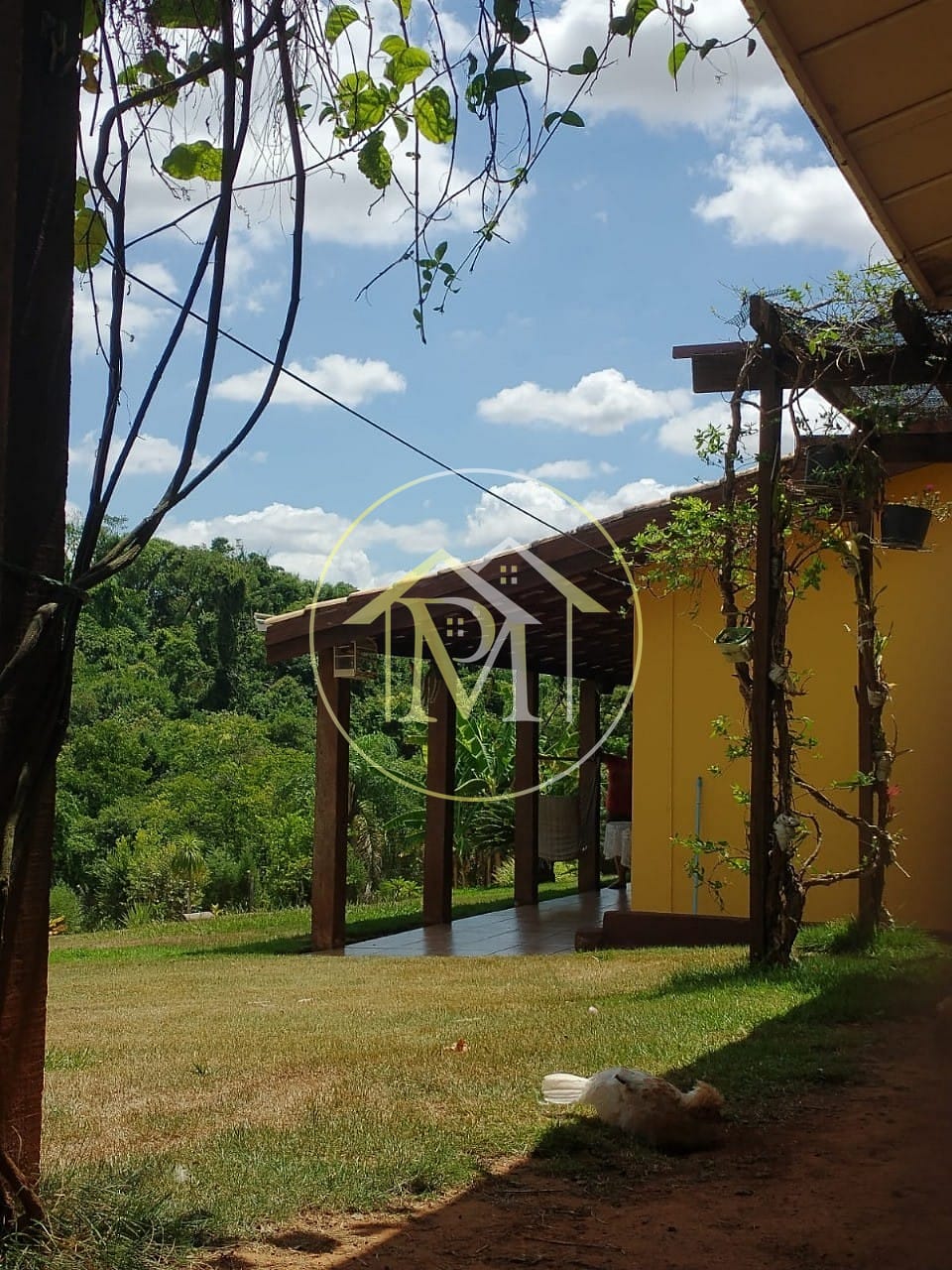 Sítio, 3 quartos, 3285 m² - Foto 29