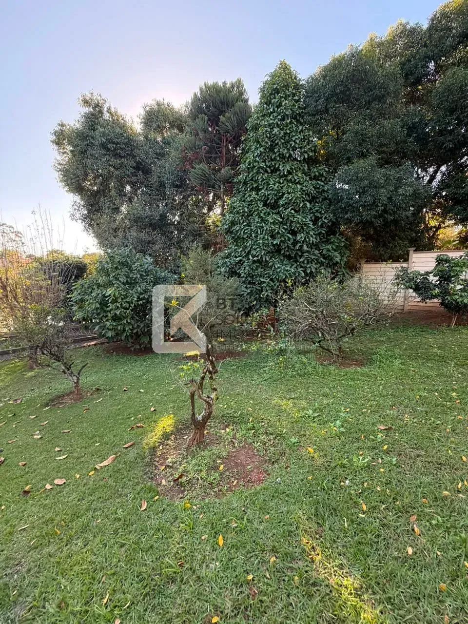 Chácara, 5 quartos, 2500 m² - Foto 9