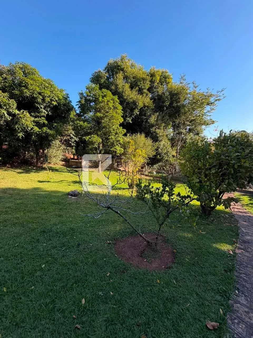 Chácara, 5 quartos, 2500 m² - Foto 10
