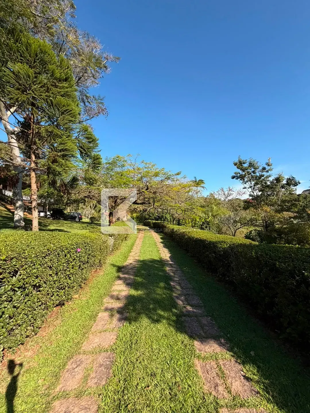 Chácara, 4 quartos, 10000 m² - Foto 9