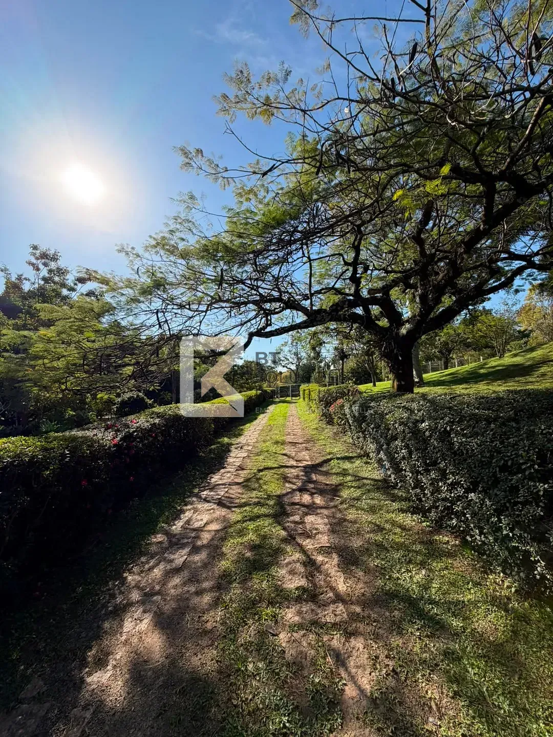Chácara, 4 quartos, 10000 m² - Foto 12