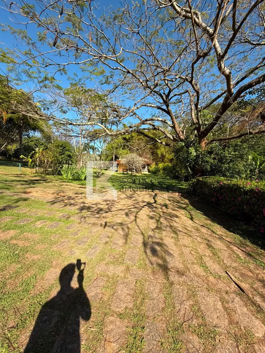 Chácara, 4 quartos, 10000 m² - Foto 13