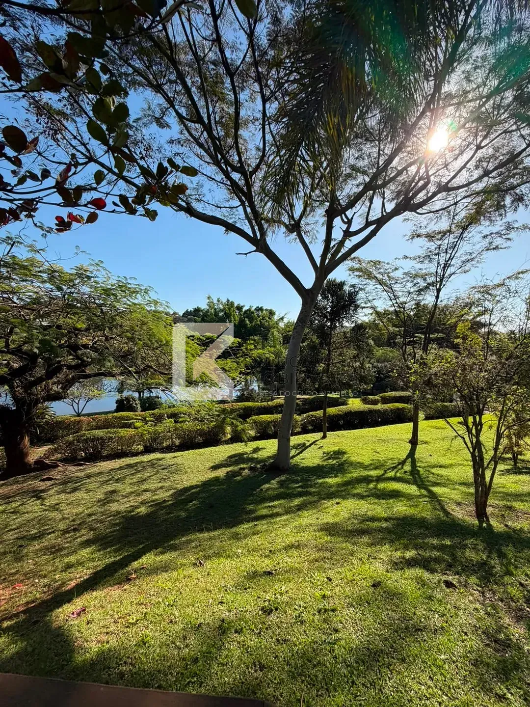Chácara, 4 quartos, 10000 m² - Foto 22