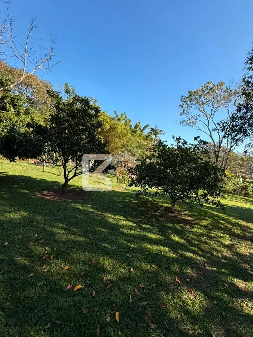 Chácara, 4 quartos, 10000 m² - Foto 66