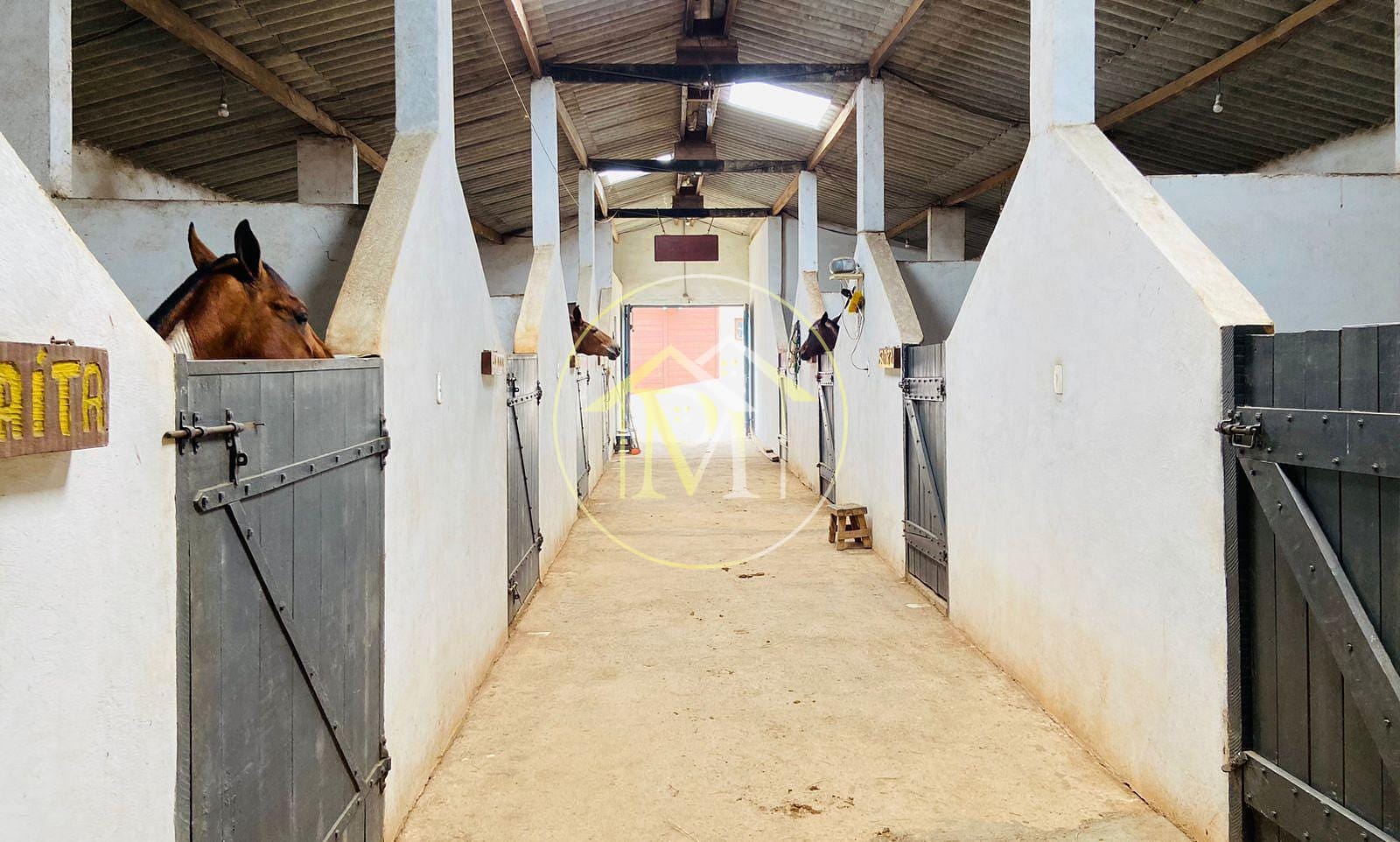 Chácara, 2 quartos, 3000 m² - Foto 1