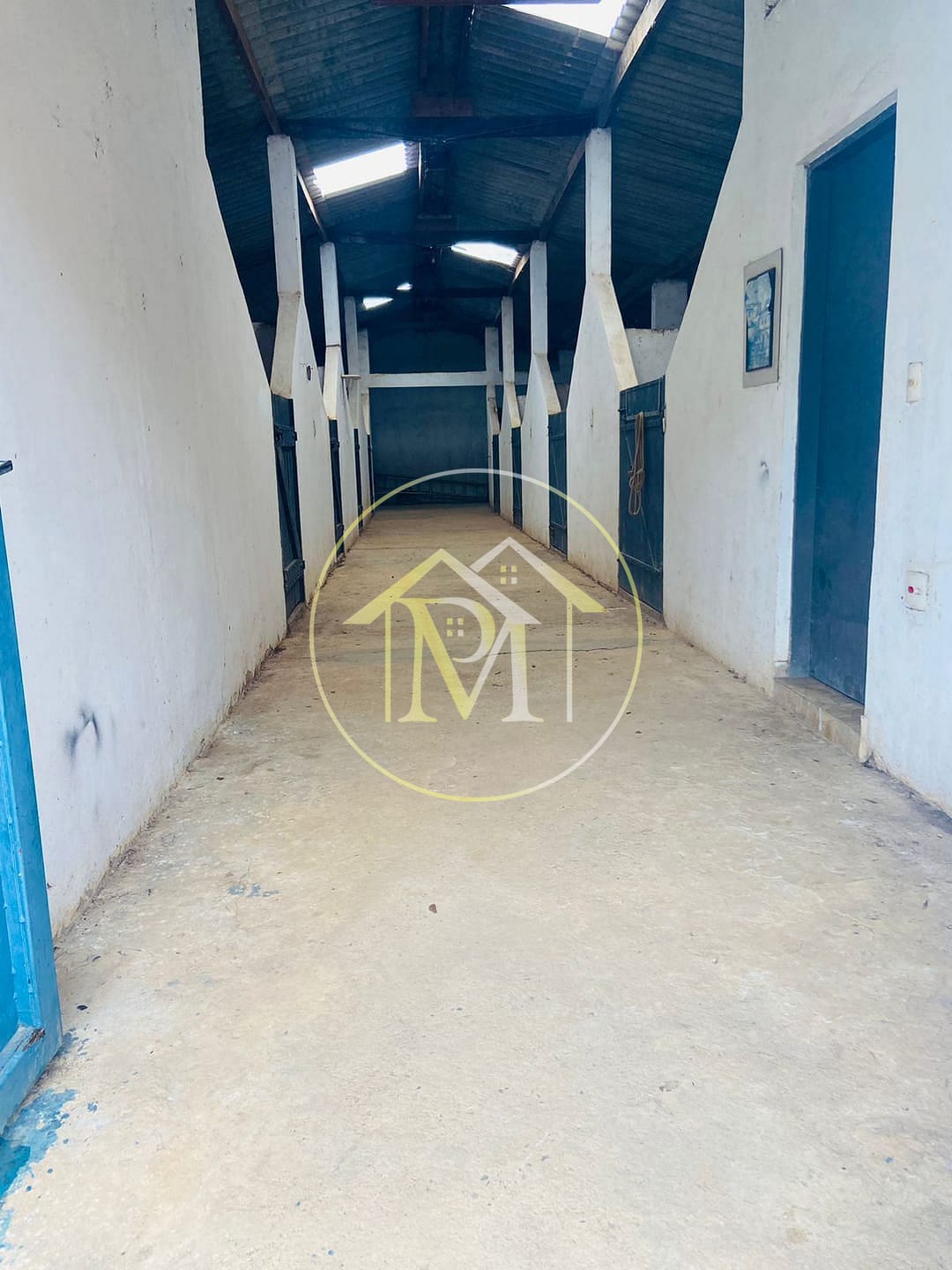 Chácara, 2 quartos, 3000 m² - Foto 8