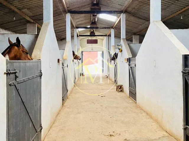 Chácara com 3000m² 2 quartos e 2 banheiros, à venda, no bairro Centro em São Roque