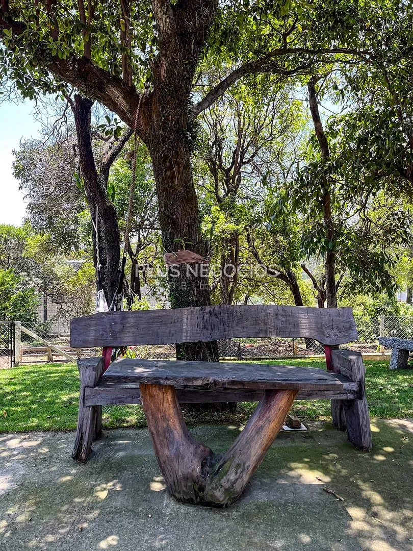 Chácara, 2 quartos, 2500 m² - Foto 48