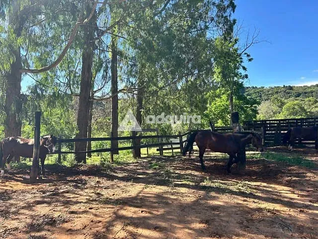 Chácara com 9000m² 2 quartos e 2 banheiros, à venda, no bairro Chapada em Ponta Grossa