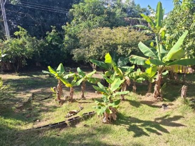 Foto do Chácara - Chácara com 3 dormitórios à venda, 1060 m² por R$ 480.000,00 - Bairrinho - São José dos Campos/SP | INDEPENDENCE NEGOCIOS IMOBILIARIOS LTDA