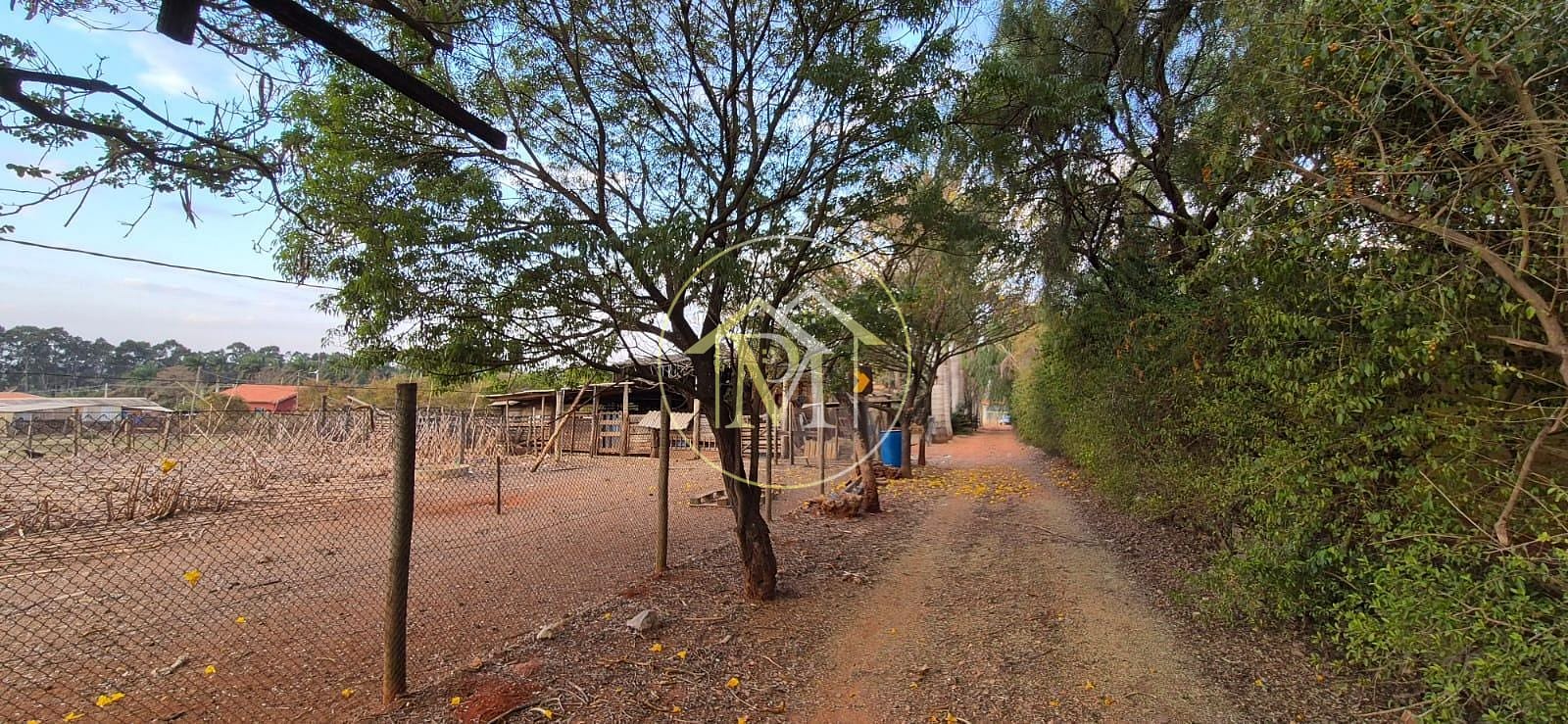 Chácara, 4 quartos, 2 hectares - Foto 3