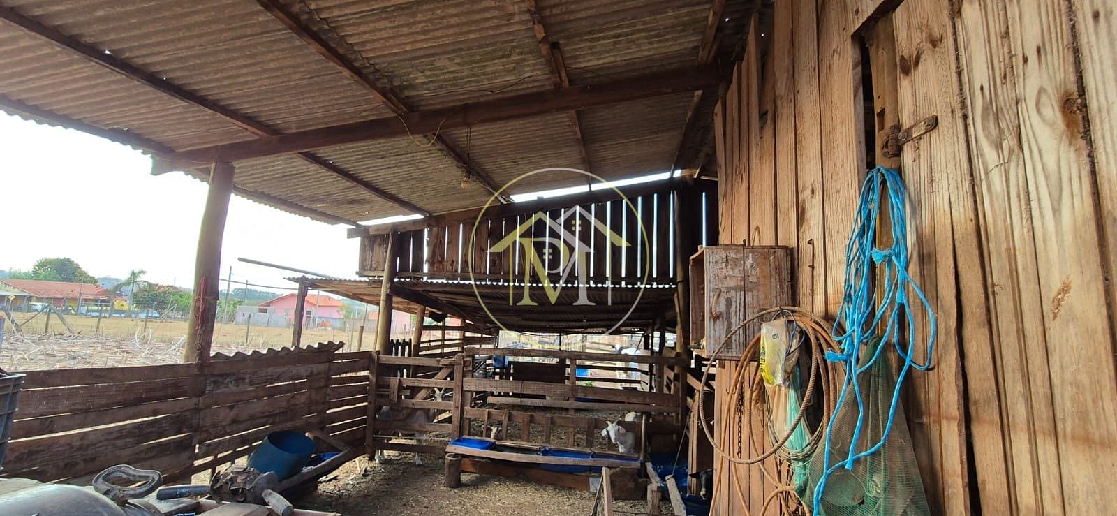 Chácara, 4 quartos, 2 hectares - Foto 10