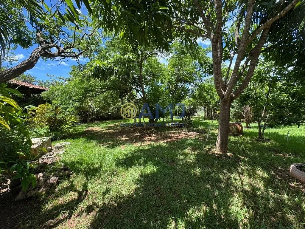 Sítio, 4 quartos, 2029 m² - Foto 23
