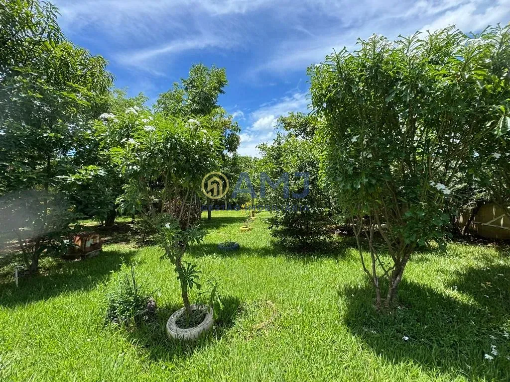 Sítio, 4 quartos, 2029 m² - Foto 29