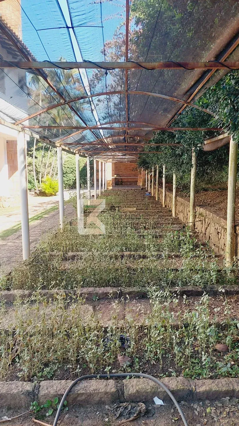 Sítio, 4 quartos, 3000 m² - Foto 42