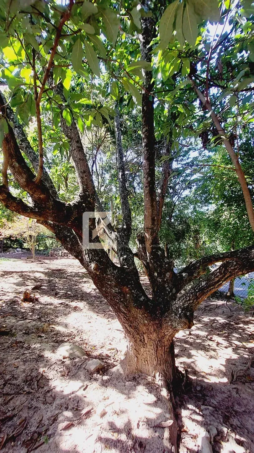 Sítio, 4 quartos, 3000 m² - Foto 57