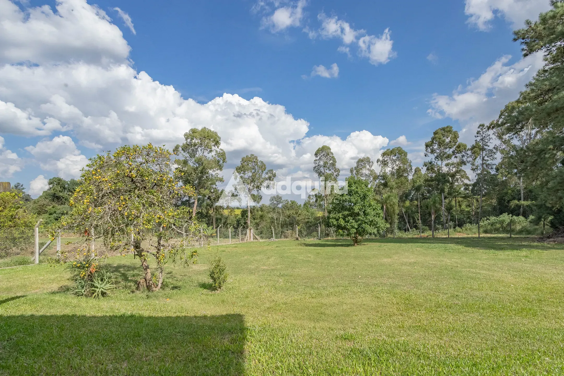 Chácara, 1 quarto, 3500 m² - Foto 21