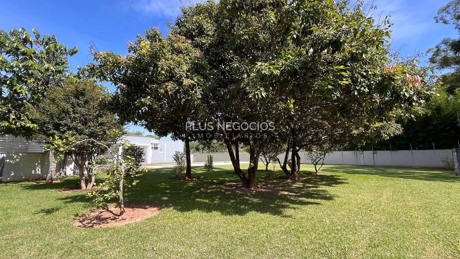 Chácara, 5 quartos, 3657 m² - Foto 6