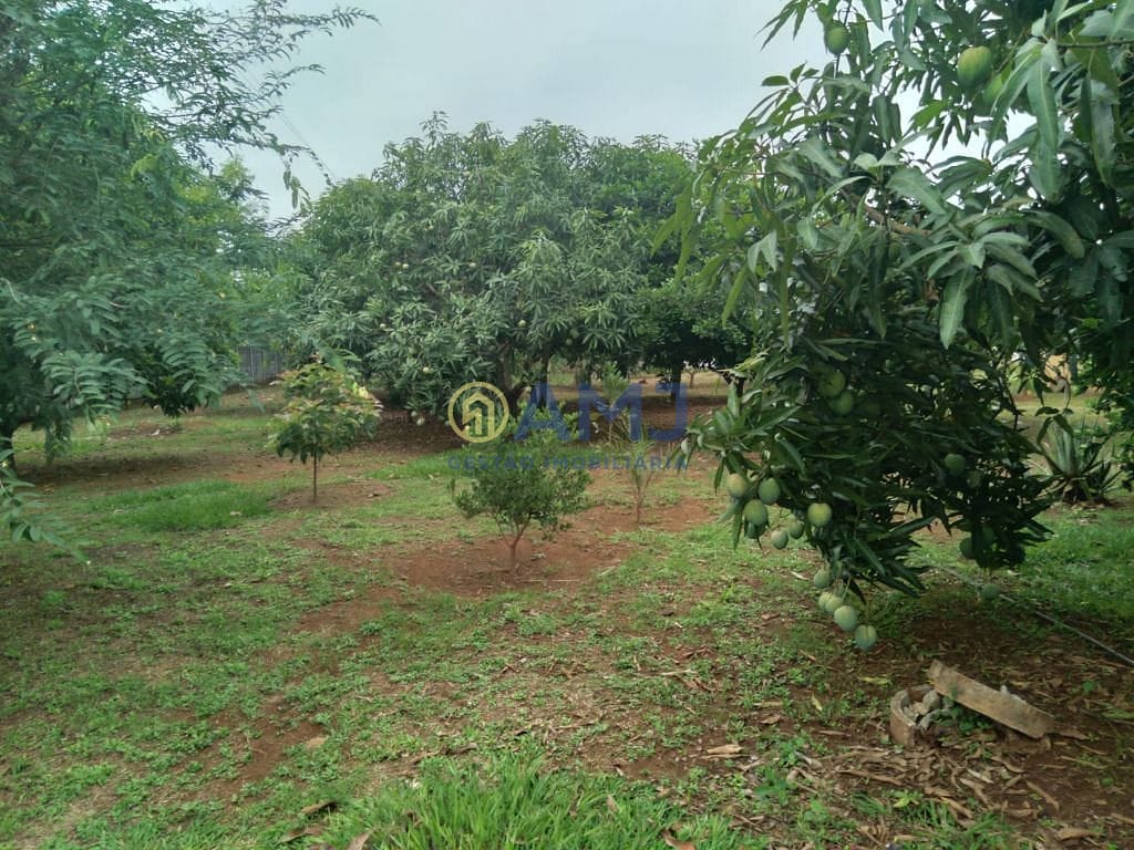 Sítio, 3 quartos, 5000 m² - Foto 11