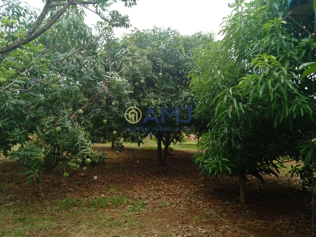 Sítio, 3 quartos, 5000 m² - Foto 21