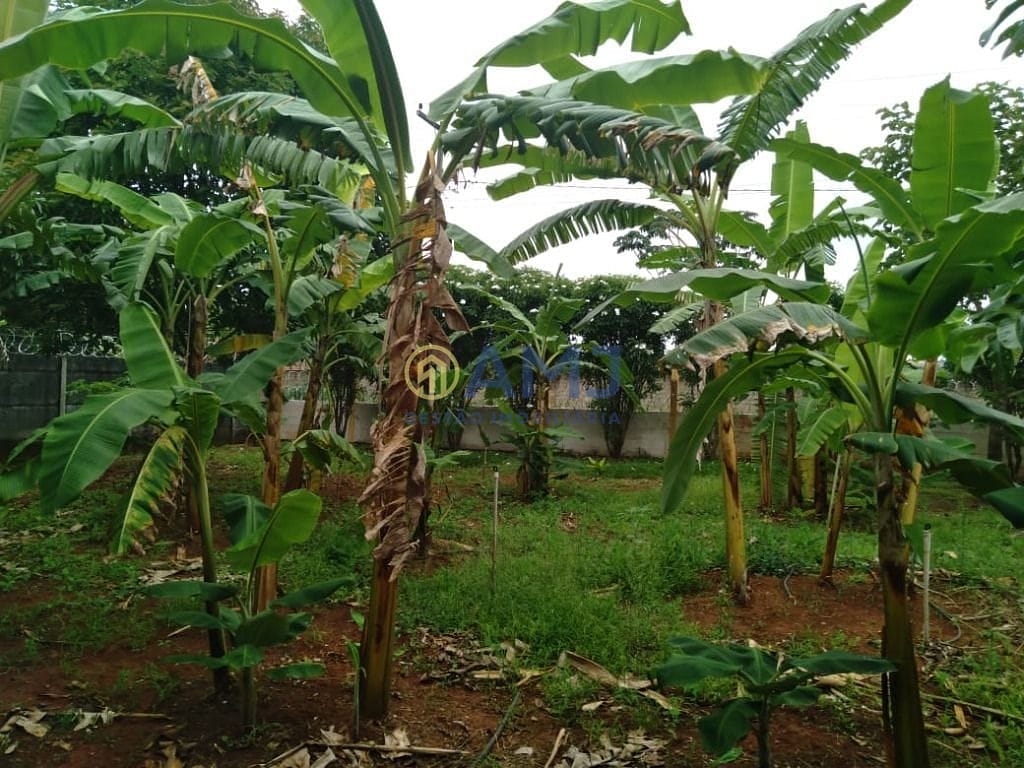 Sítio, 3 quartos, 5000 m² - Foto 15