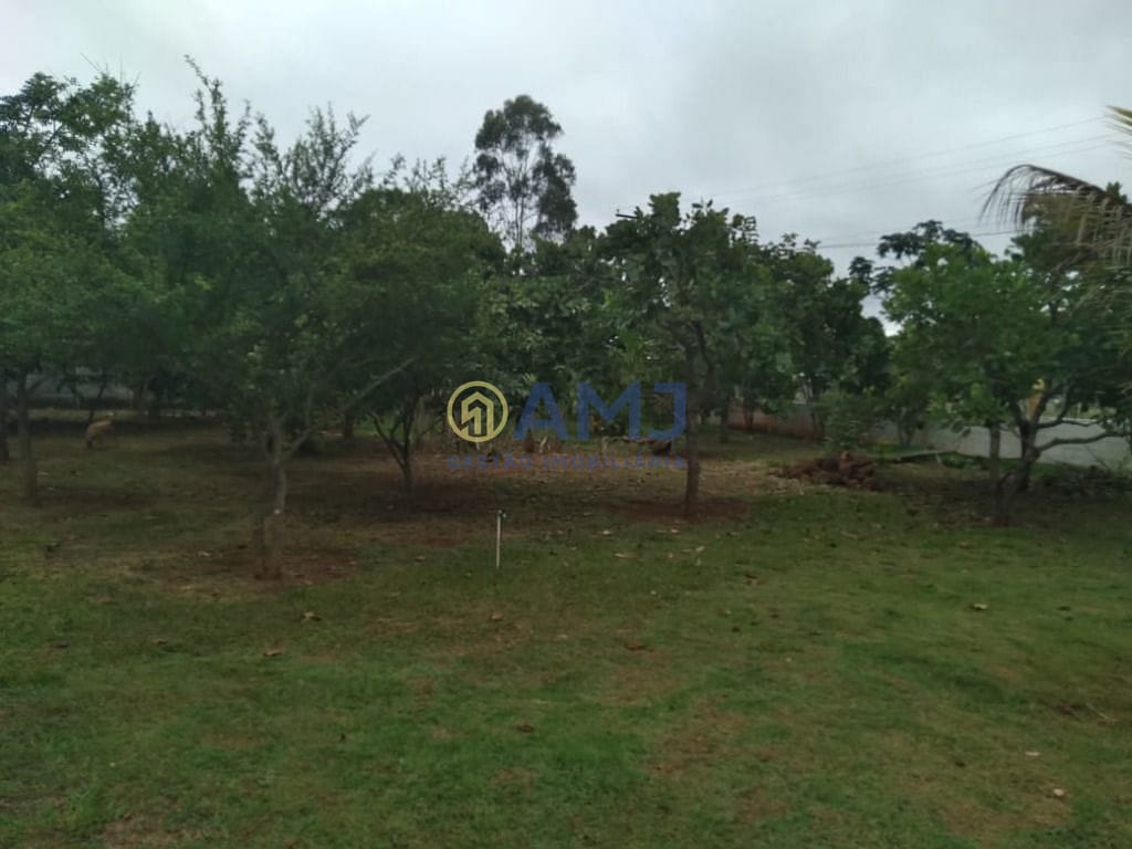 Sítio, 3 quartos, 5000 m² - Foto 22