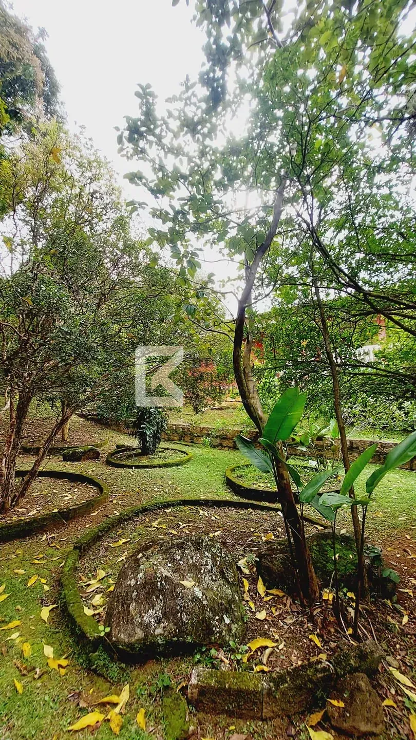 Sítio, 5 quartos, 3000 m² - Foto 17