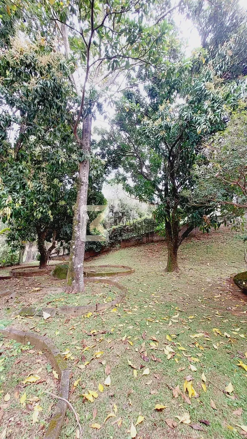 Sítio, 5 quartos, 3000 m² - Foto 18