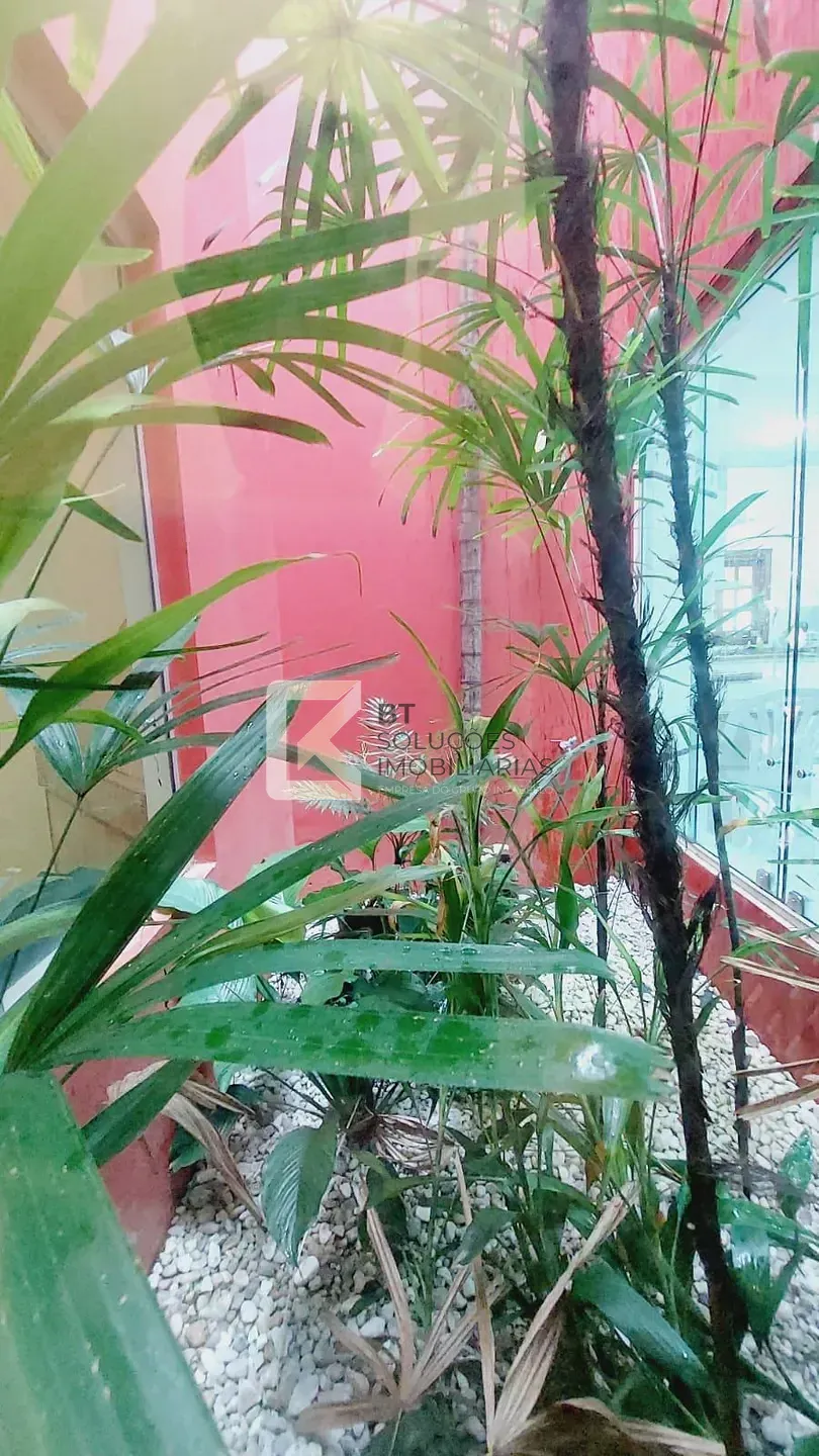 Sítio, 5 quartos, 3000 m² - Foto 20