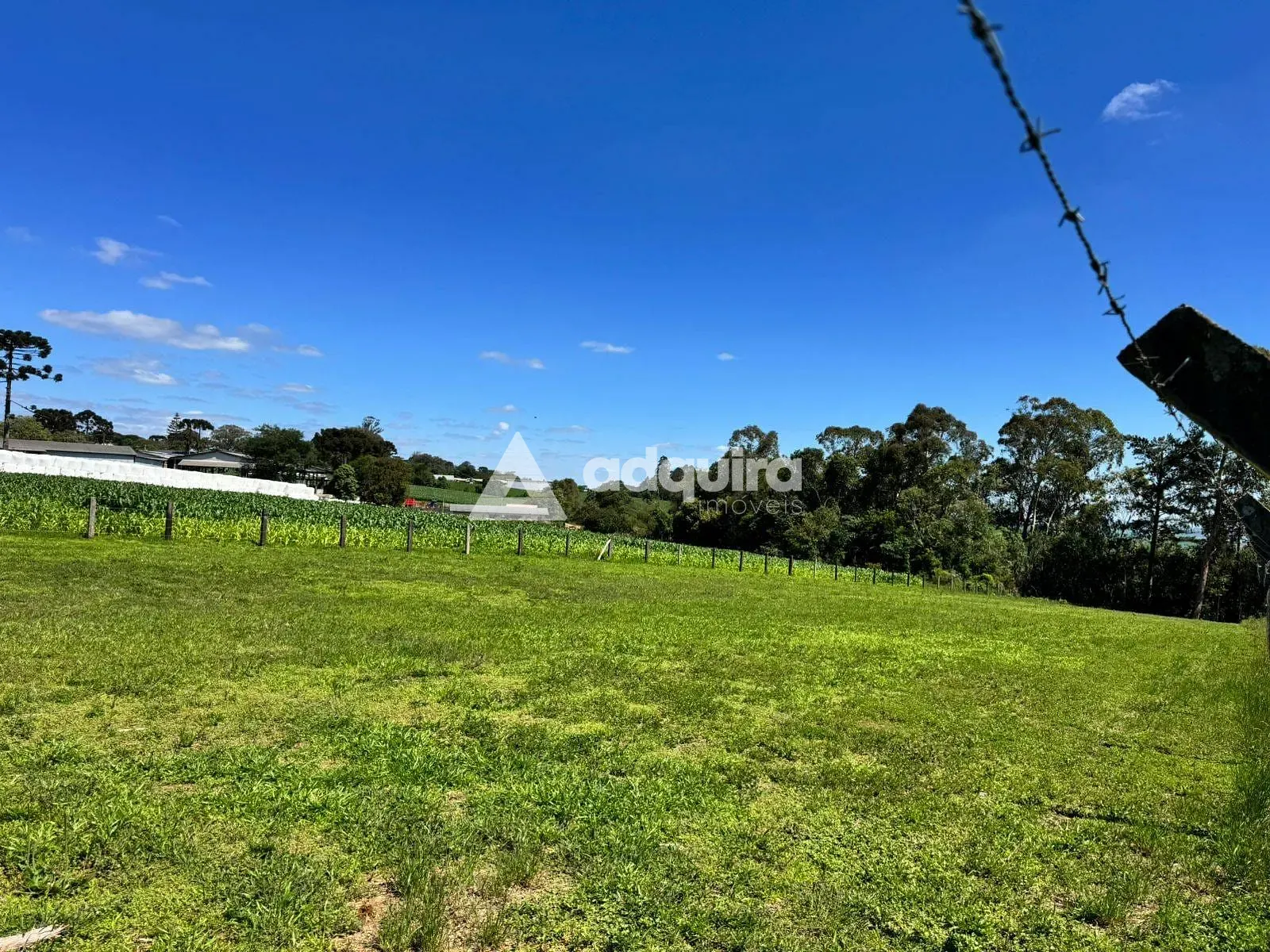 Chácara, 3 quartos, 5800 m² - Foto 16
