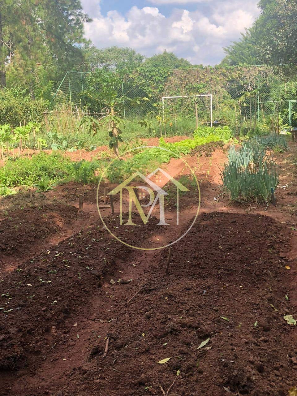 Chácara, 3 quartos, 3 hectares - Foto 5