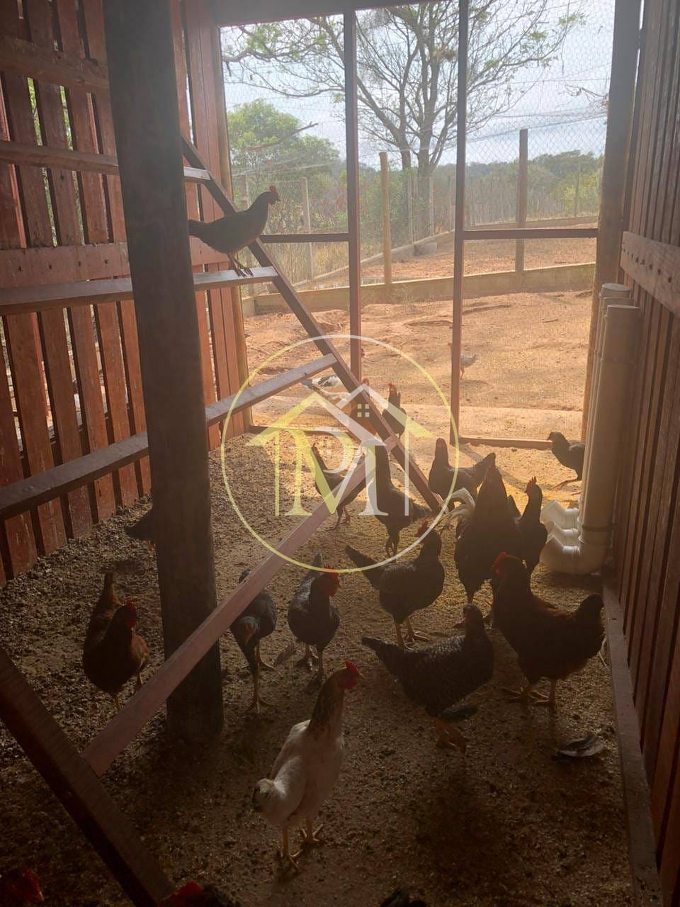 Chácara, 3 quartos, 3 hectares - Foto 8