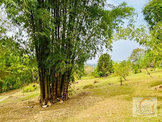 Chácara com 15700m² 2 quartos e 2 banheiros, à venda, no bairro Paiol Grande em Joanópolis