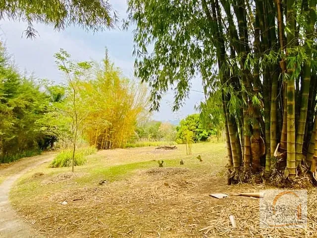 Chácara com 15700m² 2 quartos e 2 banheiros, à venda, no bairro Paiol Grande em Joanópolis