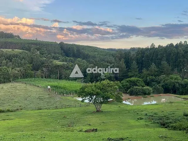 Chácara com 1100m² 3 quartos e 1 banheiro, à venda, no bairro Colônia Dona Luíza em Ponta Grossa