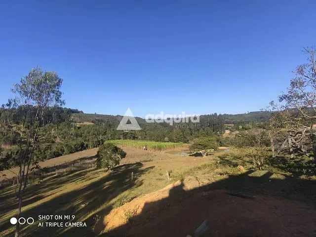 Chácara com 1100m² 3 quartos e 1 banheiro, à venda, no bairro Colônia Dona Luíza em Ponta Grossa