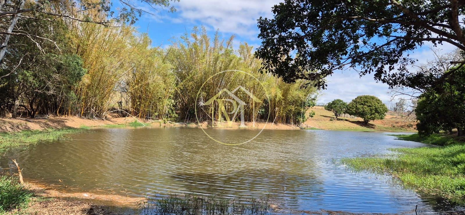 Sítio, 4 quartos, 3 hectares - Foto 21