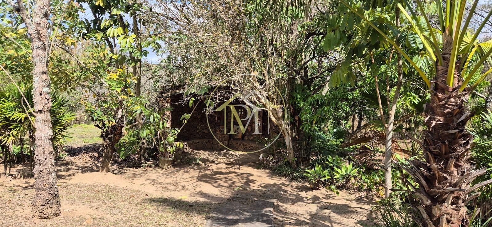 Sítio, 4 quartos, 3 hectares - Foto 25