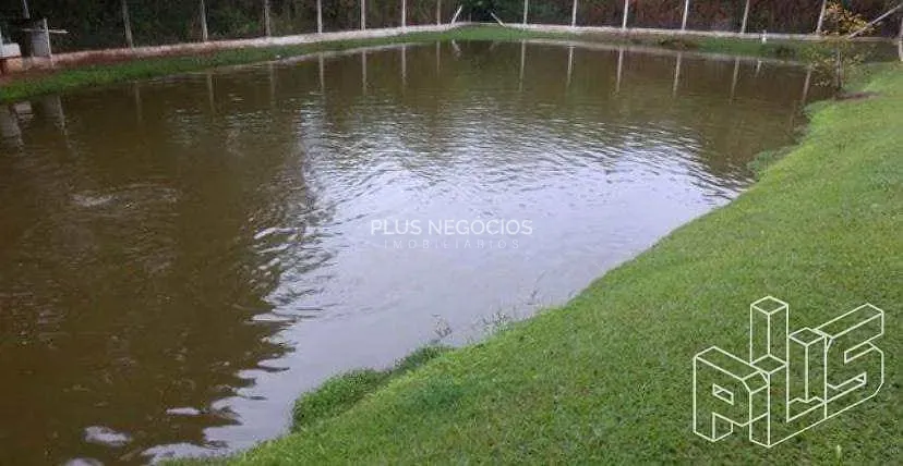 Chácara, 5 quartos, 7000 m² - Foto 5