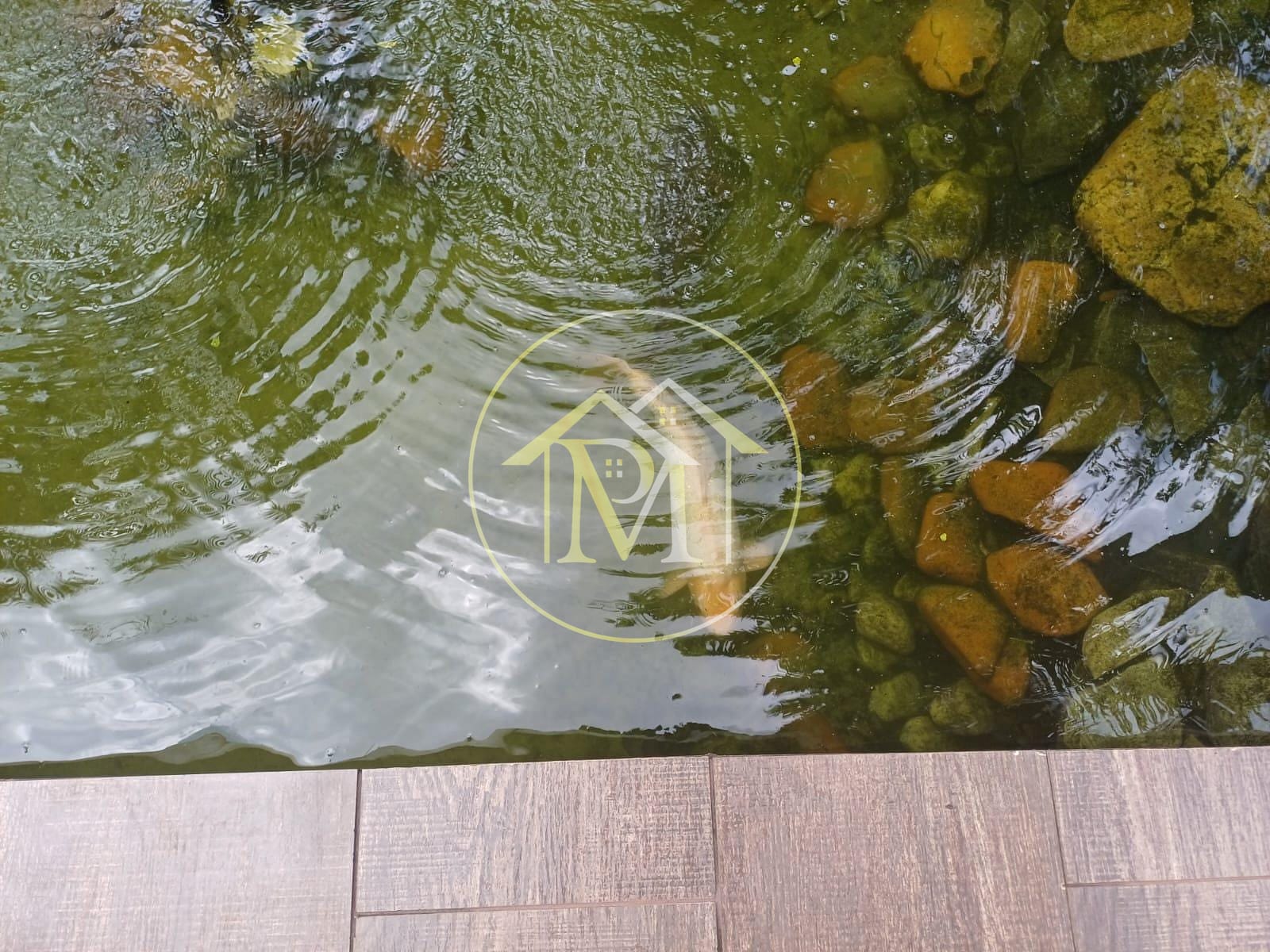 Sítio, 2 quartos, 3000 m² - Foto 17