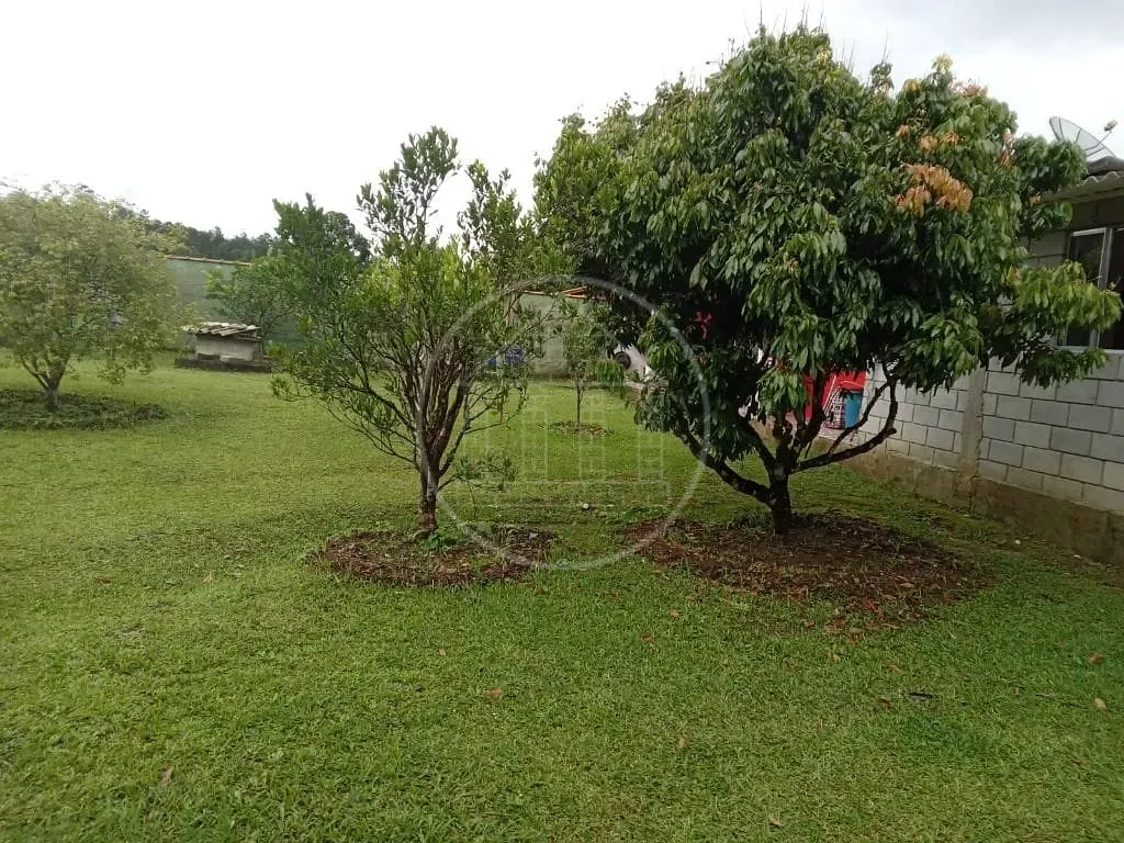 Sítio, 3 quartos, 2145 m² - Foto 46