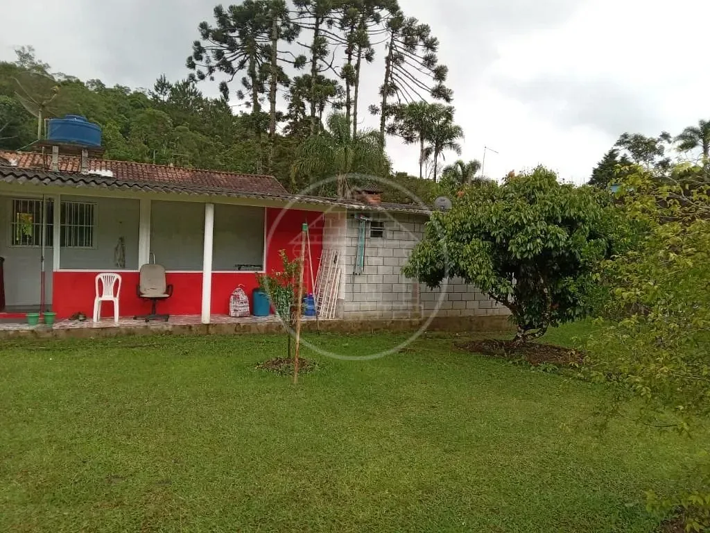 Sítio, 3 quartos, 2145 m² - Foto 9